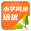蜜芽域名网站2024最新版