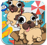 vip.aqdlt.vip192.168.1.1電腦免費版